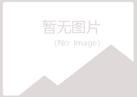 上海宝山征服会计有限公司